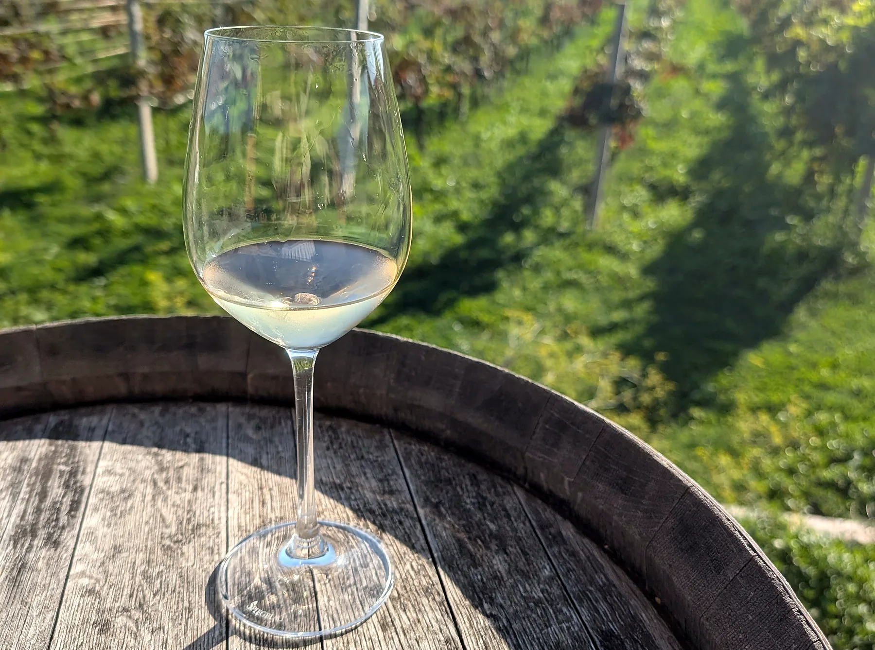 Sklenka vína na sudu nad vinicí